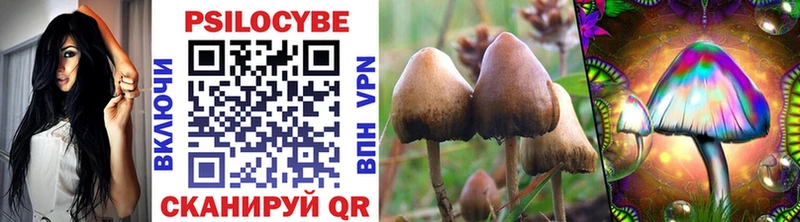 Псилоцибиновые грибы MAGIC MUSHROOMS Бирск
